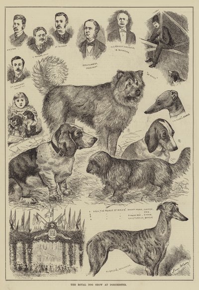 ドーチェスターでのロイヤルドッグショー 作： Louis Wain